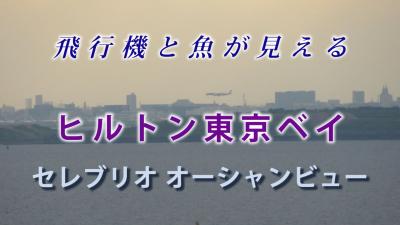 ヒルトン東京ベイに泊まるならオーシャンビューをおすすめします