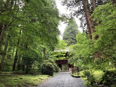 茨城・福島旅行　紫陽花で映えたい旅　2日目