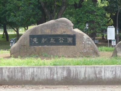 練馬の光が丘公園は、周囲に、多くの公園もあり、広く多様な公園です。