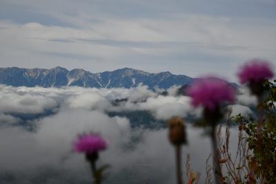 “飯綱山トレイル”晴れた北ア&高山植物が美しく秋気配