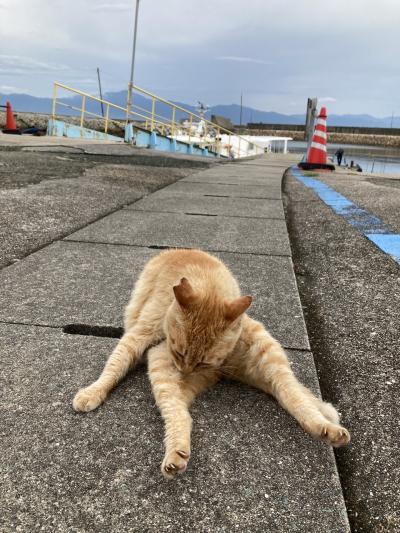 日本列島横断ジャパンレールパスの旅 2021 [4] 『松山→青島 猫の島についに上陸！』編