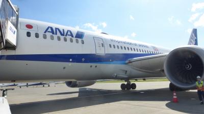 ANA国際線用機材搭乗目的 札幌１泊２日旅【途中でピーチ機を追い抜いた ＡＮＡ２９０便 札幌／千歳～福岡 搭乗編】