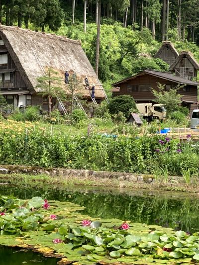 初めて、岐阜をゆっくり。高山二日目、飛騨大鍾乳洞と白川郷編。