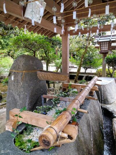 花と水の京都　世界遺産　上賀茂神社の涼やかな花玉手水2021