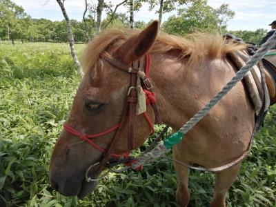 道東を遊ぶ一週間　⑤夏はここで過ごしたい