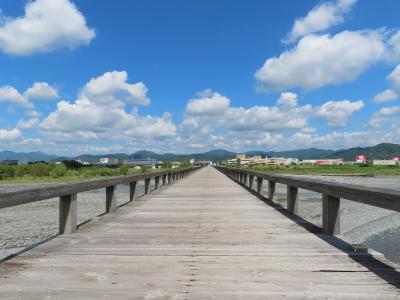 ぶらり静岡県日帰りの旅（大井川に架かる木造歩道橋の蓬莱橋とふじのくに茶の都ミュージアムへ行く）