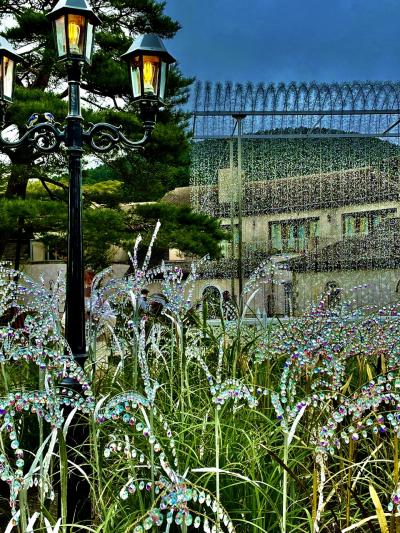 夏の疲れは、温泉とススキで癒しましょう♪