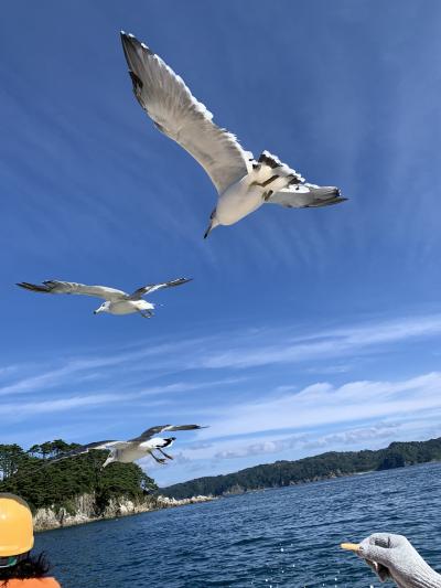 いわて花巻大沢温泉山水閣　松川温泉松楓荘　浄土ヶ浜パークホテル　青の洞窟さっぱ船！③