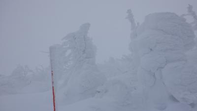 年末年始守ろう心身の健康！厳寒の宮城山形をまわってみた(3)日本海側大寒波で蔵王の樹氷と温泉楽しむ