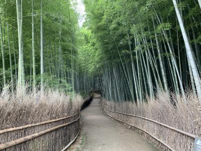 京都さんぽ　嵐山　竹林の小径～大河内伝次郎の大河内山荘、自然を満喫♪