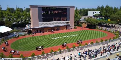 目指せビギナーズラック、新潟競馬と街歩き