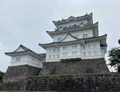 小田原城址公園に行ってみた