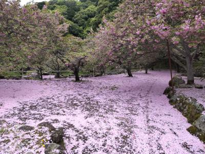 春の大分1泊ひとり旅・・２日でどこまで詰め込めるか？　　＊DQWお土産3つ＊