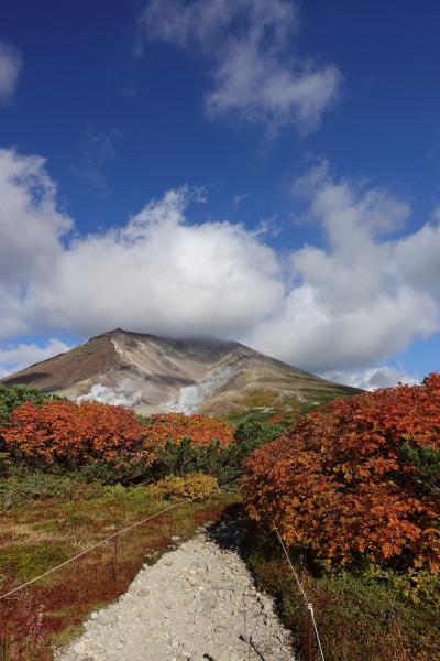 【２泊３日　秋の旭川　ひとり旅】日本一早い紅葉巡りの巻　1日目