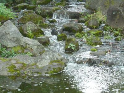 国会前庭庭園に行ってきました。国会議事堂の前庭の庭園です。