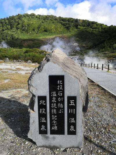 ☆大人の休日倶楽部パス８回目 2021年9月☆ 玉川温泉　安比高原温泉　花巻温泉 大宮へ No.1