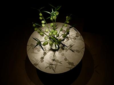 ROKU KYOTO ガーデンデラックス宿泊記(ブログ)，アフタヌーンティーとサーマルプール，スパ　