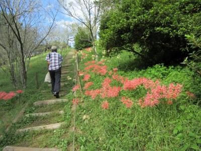 みろく公園と門入ダム