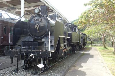 ぶらりと青梅鉄道公園