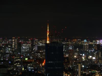 2度目のザ・リッツ・カールトン東京　さよなら東京タワービュー