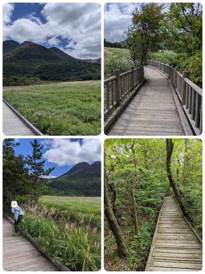 半年ぶりに県境越えて、お散歩♪(動画付)