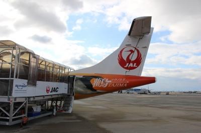 JAL JGC回数修行 伊丹空港発１回目～６回目