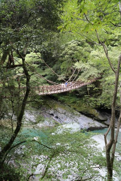 愛犬と行く四国旅～徳島編