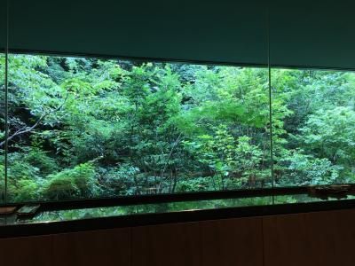 晩夏のふふ熱海、木の間の月