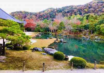 ◆ 趣ある庭園が魅力 天龍寺 ◆