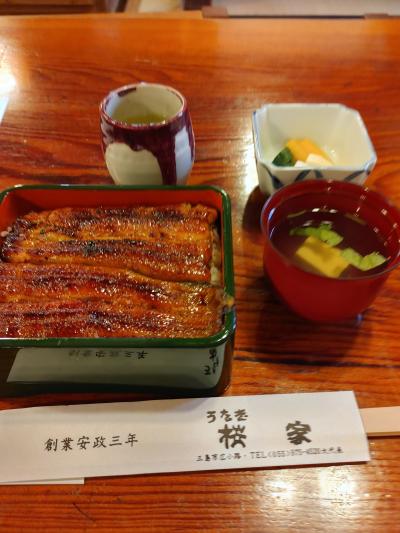 三島まで鰻を食べに行きました2