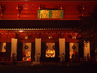 じっくりめぐる晩秋の日光　一日目【4】日光輪王寺大猷院、三佛堂と逍遥園の紅葉ライトアップ