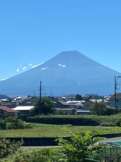 山梨でおいしいビール、とワインを飲みたい旅