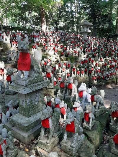 豊川稲荷、キツネ塚