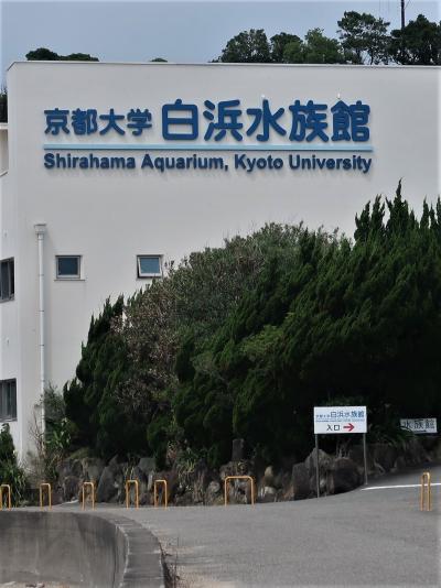 南紀白浜-4　白浜水族館　京都大学が運営　☆研究の主役-サンゴ/ウニ/貝等・地味な学習施設