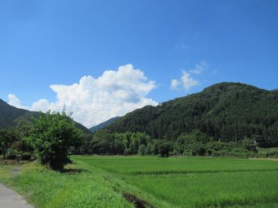 ２０２１年　春から夏へ