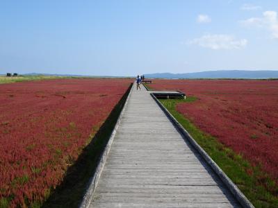 また来た道東（４）　能取湖、サロマ湖周辺散策 (2021年9月)