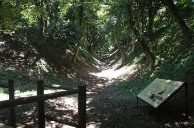 後北条氏小田原城遺址（その３）小峯御鐘ノ台大堀切東堀