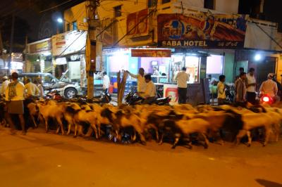 初めてのハイデラバード 23 (出張のついでに17ｰ23)  "ゴルコンダ・フォート" に移動中、夜の市街地を歩くヤギの群れ！ 