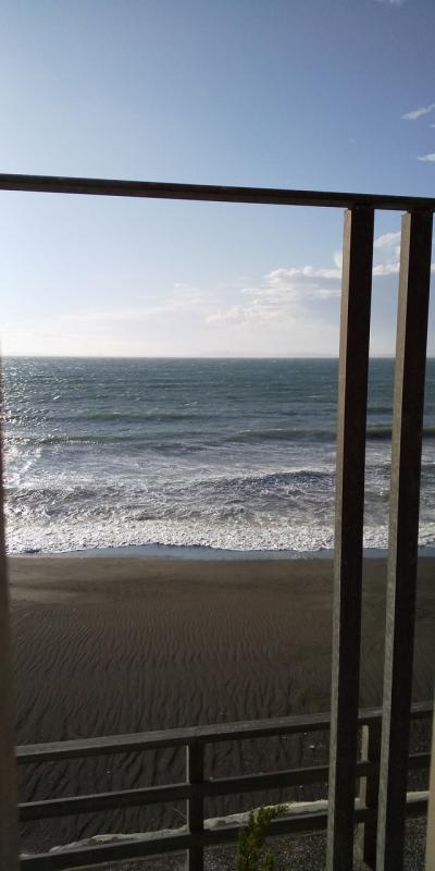 さざね 行って来ました~ニャ