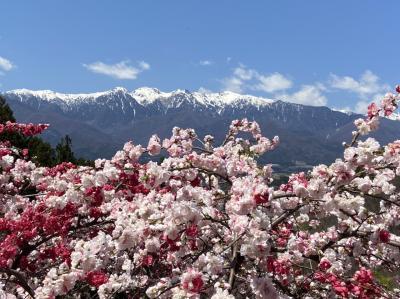 長野　周遊旅行（花紀行)