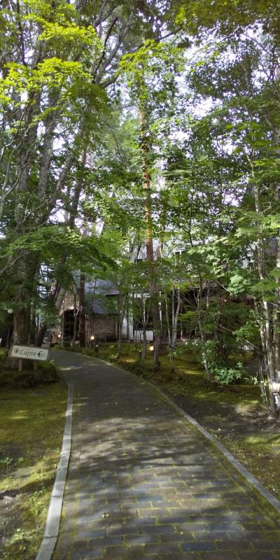 ラパン 行って来た~ニャ