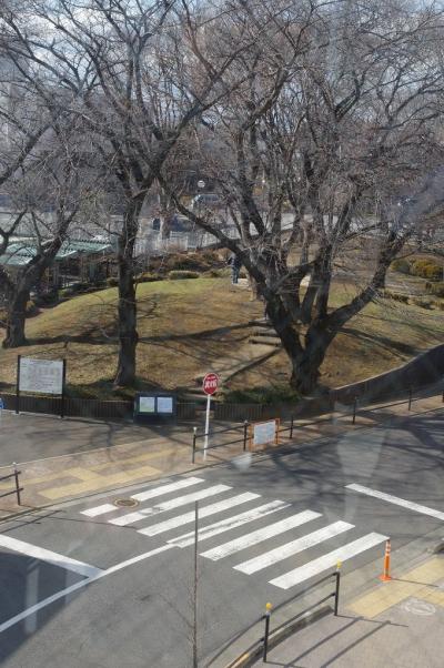 武蔵国国府遺跡等