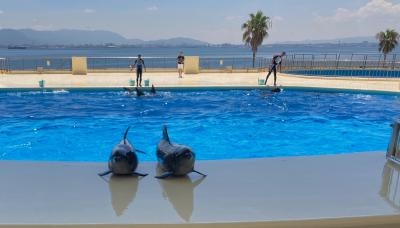 夏のマリンワールド海の中道