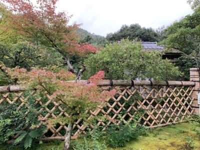 京都さんぽ　　　本阿弥光悦の光悦寺へ　