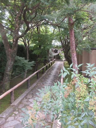 光悦寺庭園を見学し鷹峯街道を歩く