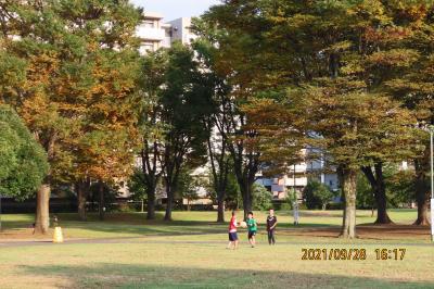 福岡中央公園を再び訪問しました