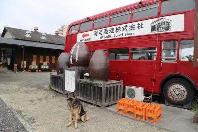 愛犬と行くたつの・姫路方面