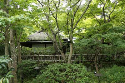 秋の優雅な熱海♪　Vol.17 ☆MOA美術館：美しい日本庭園♪