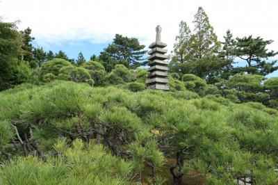 秋の優雅な熱海♪　Vol.18 ☆MOA美術館：美しい日本庭園♪