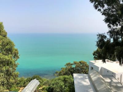 チュニスNo1観光スポット[シディ・ブ・サイド]の地中海を望むプチホテル　La Villa Bleue